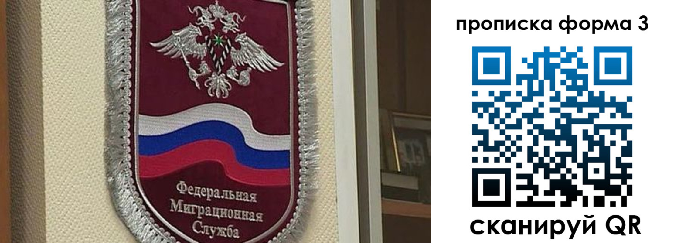 где прописаться в Павловске